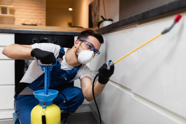 Best Insect Control  in Alturas, CA