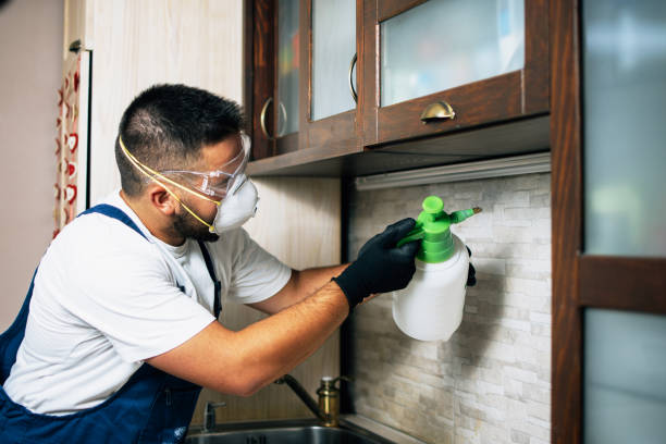 Best Ant Control Services  in Alturas, CA