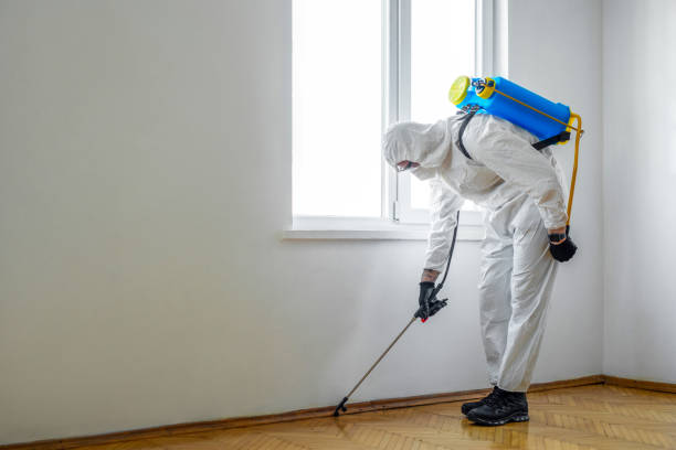 Best Pest Control Near Me  in Alturas, CA