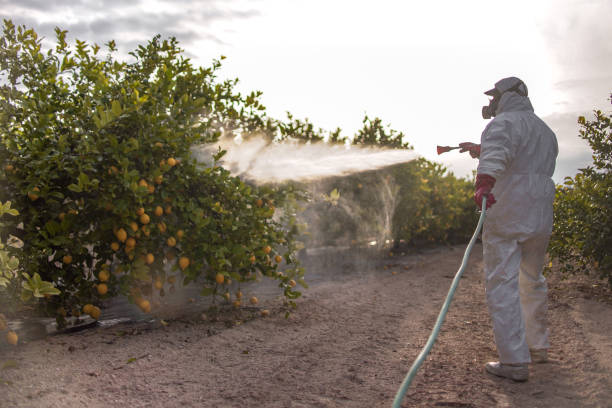 Best Residential Pest Control  in Alturas, CA
