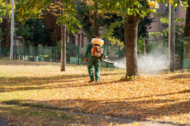 Best Wildlife Control Services  in Alturas, CA