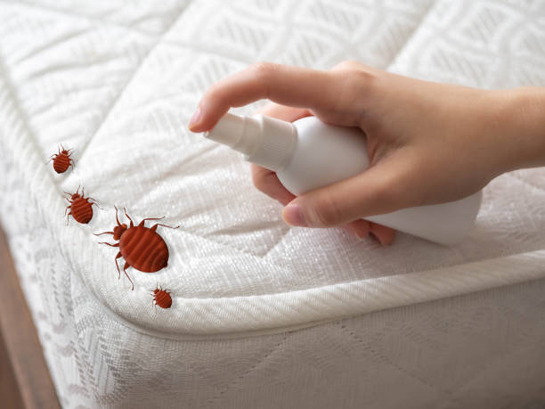 Best Best Pest Control Companies  in Alturas, CA