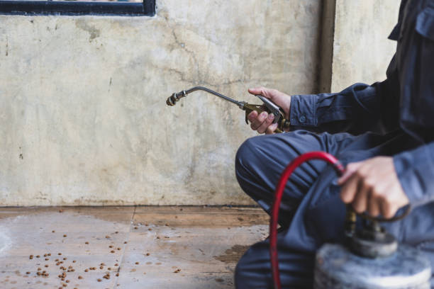 Professional Pest Control in Alturas, CA